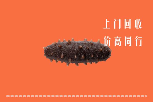 高价求购：宜春市丰城回收海参