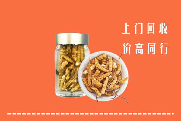 宜春市丰城回收冬虫夏草
